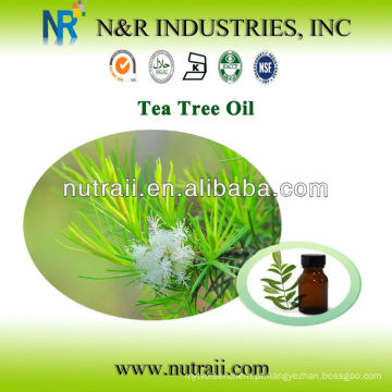 Fornecedor confiável australian tea tree oil bulk